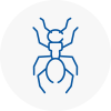 Ant Removals In Hook