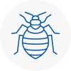 Bed Bug Extermination In Hook