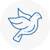 Bird Prevention Hook