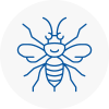 Hook Hornet Nest Removals