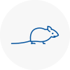 Mice Exterminators In Hook