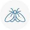 Moth Control Specialists In Hook