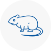 Rat Control Hook