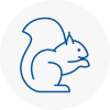 Hook Rodent Removals