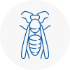 Hook Wasp Nest Removal